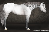 Horse Color:Gray Brown Roan Blanket 