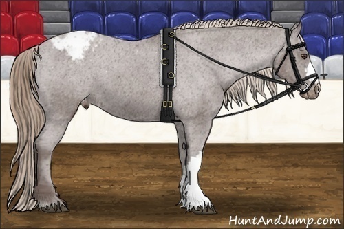 Horse Color: Liver Chestnut Snowcap 