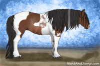 Horse Color:Bay Tobiano Rabicano 