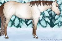 Horse Color:Gray Red Dun 