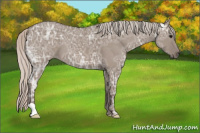 Horse Color:Silver Grullo Ice