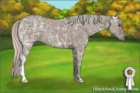 Horse Color:Silver Grullo Ice 