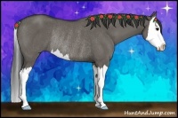 Horse Color:Grullo Splash Rabicano 