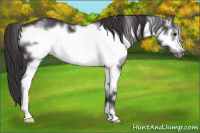 Horse Color:White Spotted Smoky Black Frame 