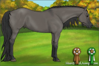 Horse Color:Grullo 
