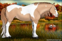 Horse Color:Gold Champagne Splash Tobiano 