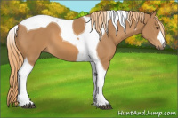 Horse Color:Chestnut Tobiano