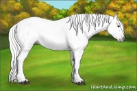 Horse Color:Gray Liver Chestnut Tobiano 