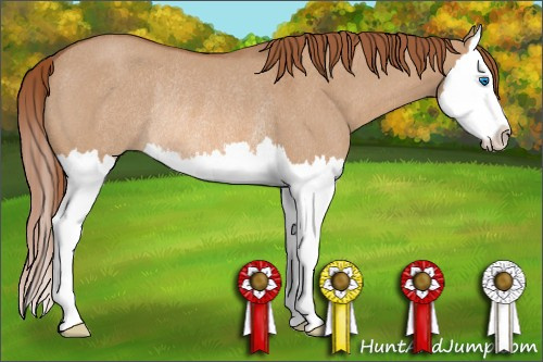 Horse Color: Red Dun Roan Splash Rabicano 