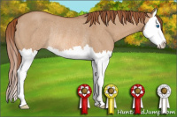 Horse Color:Red Dun Roan Splash Rabicano