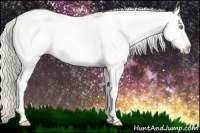 Horse Color:Amber Cream Champagne Pearl Dun Frame 