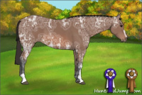 Horse Color:Bay Ice Sabino