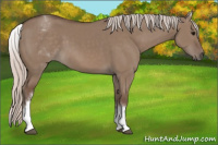 Horse Color:White Spotted Silver Brown Dun 