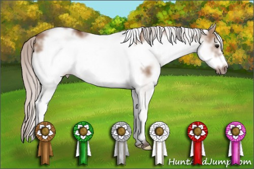 Horse Color: White Spotted Silver Bay Dun Frame 