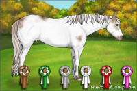 Horse Color:White Spotted Silver Bay Dun Frame