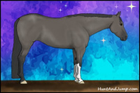 Horse Color:Brown Dun 
