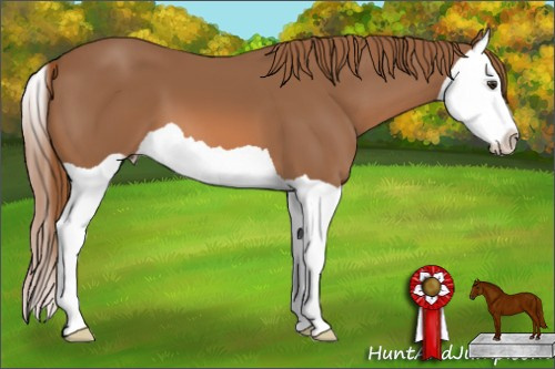 Horse Color: Chestnut Splash 