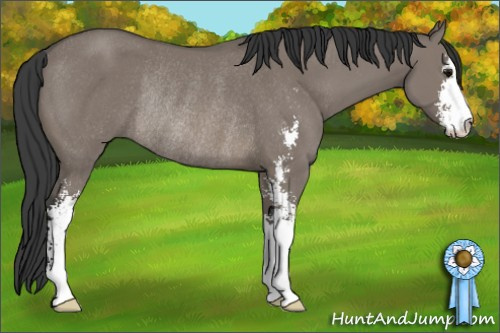 Horse Color: Grullo Sabino Rabicano 