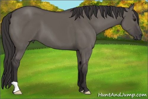 Horse Color: Smoky Grullo 