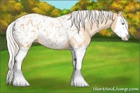 Horse Color:Silver Amber Champagne Roan Splash Appaloosa Rabicano 