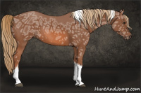 Horse Color:Liver Chestnut Ice Tobiano Rabicano 