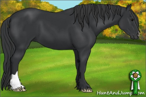 Horse Color: Brown 