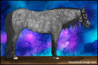 Horse Color:Brown Ice Roan Rabicano 