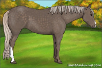 Horse Color:Silver Black 