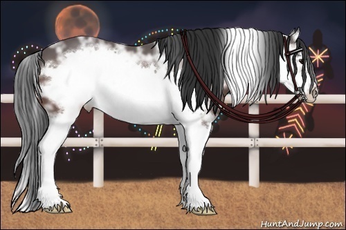 Horse Color: Bay Ice Splash Frame 