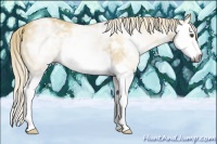 Horse Color:Gray Palomino Ice Roan Splash 