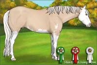 Horse Color:Silver Classic Champagne Dun Sabino Splash