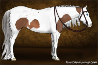 Horse Color:Bay Splash Tobiano