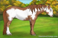 Horse Color:Chestnut Frame