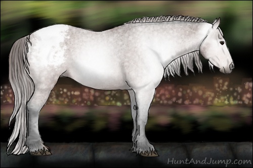 Horse Color:Gray Bay Varnish 
