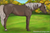 Horse Color:Silver Black 