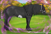 Horse Color:Black Frame 