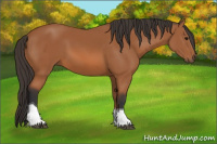 Horse Color:Bay Tobiano 
