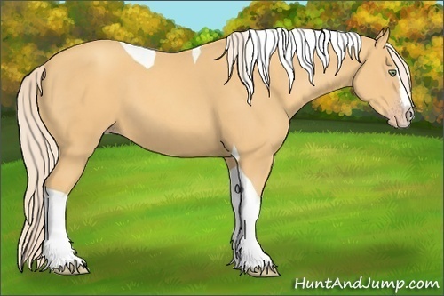 Horse Color:Gold Cream Champagne Splash Tobiano 