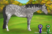 Horse Color:Black Ice 