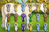 Horse Color:Smoky Black Pearl Splash Rabicano