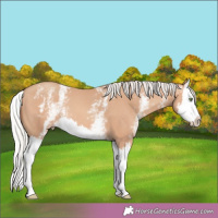Horse Color:White Spotted Silver Sable Champagne Splash 