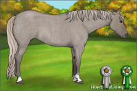 Horse Color:Silver Grullo Roan Sabino Rabicano 