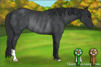 Horse Color:Black Rabicano 