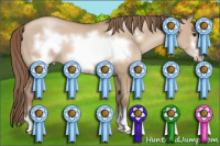 Horse Color:Grullo Pearl Sabino Frame