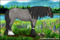 Horse Color:Grullo Roan Tobiano 