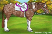 Horse Color:Chestnut Ice Tobiano 