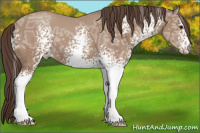Horse Color:White Spotted Classic Champagne Ice 