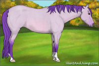 Horse Color:Watercolor Bay Roan Dun 