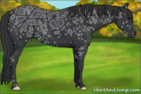 Horse Color:Brown Ice