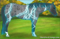 Horse Color:Thunderstruck Brown Roan 